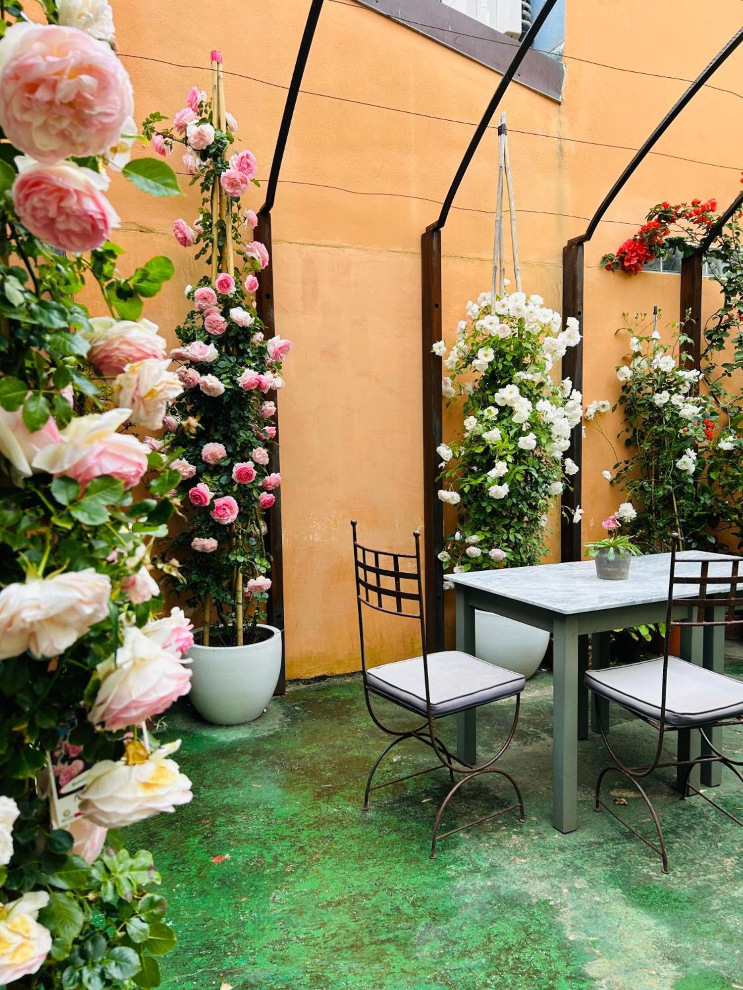 Art Hotel Pietrasanta