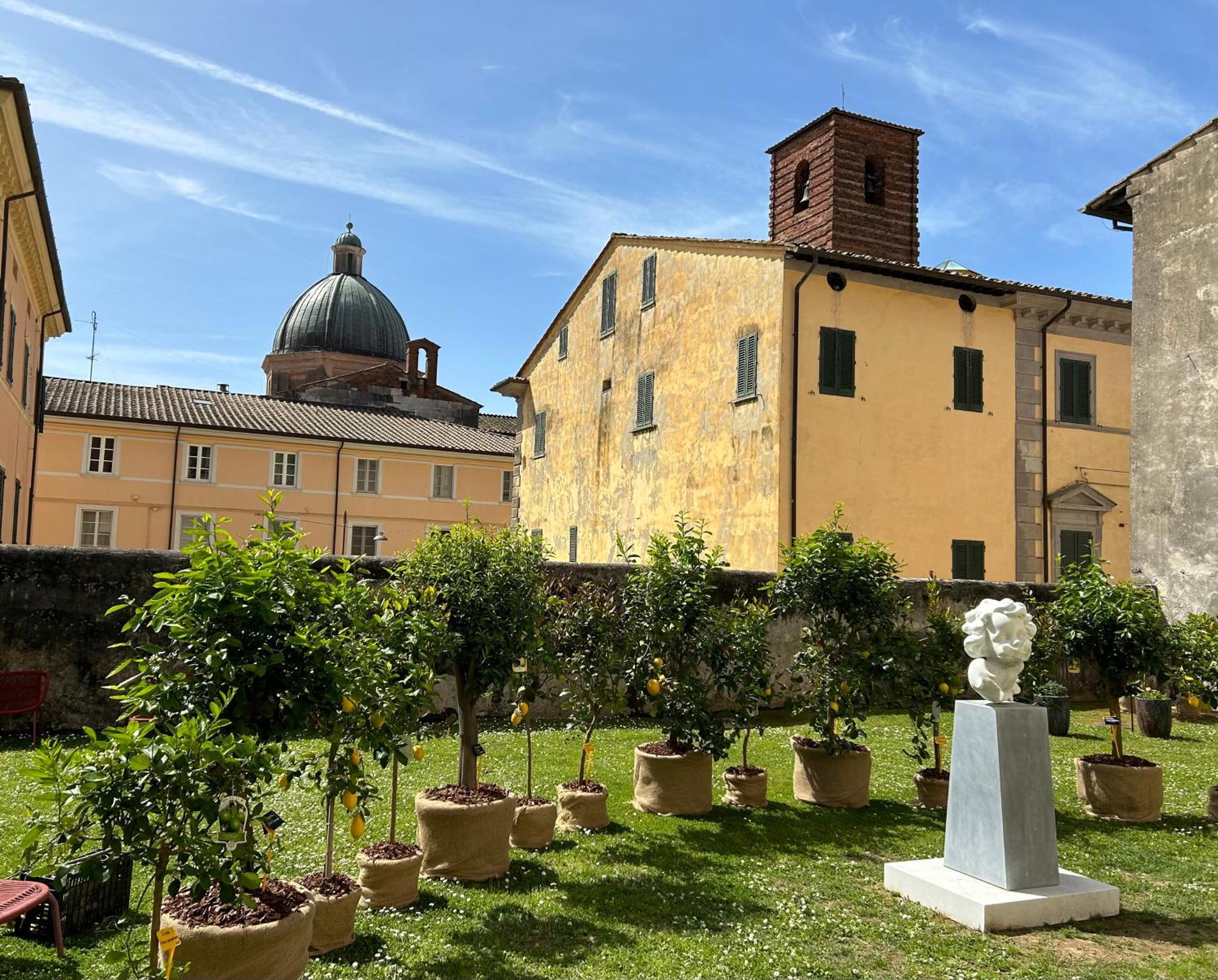 Art 3* Pietrasanta
